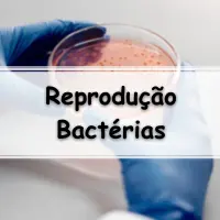 simulado sobre a Reprodução das Bactérias Exercícios com gabarito para passar no enem e vestibular