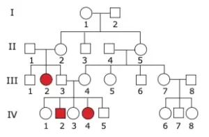heredograma característica controlada por um único par de genes