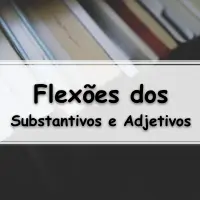 10 Atividades com Flexões dos Substantivos e Adjetivos para o ensino fundamental