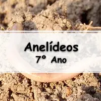 atividades e Exercícios sobre Anelídeos para o 7° Ano do ensino fundamental