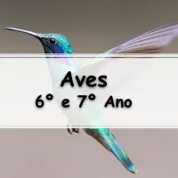lista de exercícios e Atividades sobre Aves para o 7° Ano do ensino fundamental com gabarito