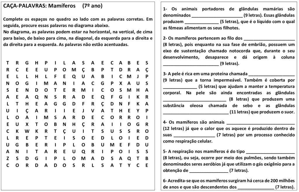 caça palavras mamíferos 7 ano