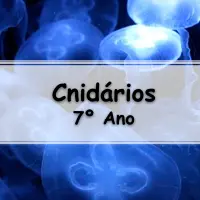 lista com 10 atividades sobre Exercícios sobre os Cnidários para o 7° Ano do ensino fundamental com gabarito