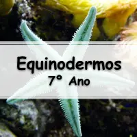 atividades e exercícios sobre