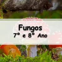 10 Exercícios Sobre Fungos Para O 7° Ano Com Gabarito - Exercícios Web