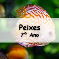 atividades e Exercícios sobre Peixes para o 7° Ano do ensino fundamental com gabarito