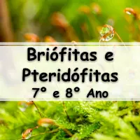 atividades e Exercícios sobre Briófitas e Pteridófitas para o 7° Ano e 8° Ano do ensino fundamental com Gabarito