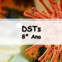 simulado com 10 Exercícios sobre DST para o 8° Ano do ensino fundamental com Gabarito