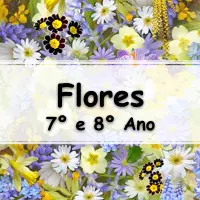 simulado com atividades e Exercícios sobre as Estruturas da Flor para o 8º Ano do ensino fundamental com gabarito