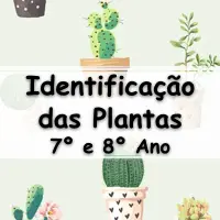 exercícios sobre Identificação das Plantas para o 7° Ano e 8° Ano do ensino fundamental com Gabarito