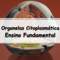 lista com os melhores atividade e 10 Exercícios sobre Organelas Citoplasmática para o Ensino Fundamental com gabarito