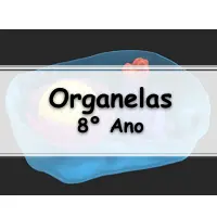 questões e 10 Exercícios sobre Organelas Citoplasmáticas para o 8° ano do ensino fundamental com Gabarito