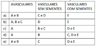 tabela plantas vasculares, avasculares e com sementes