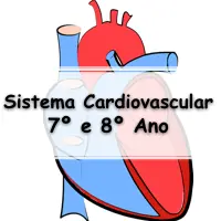 10 Atividades sobre o Sistema Circulatório para o 8° Ano do ensino fundamental com Gabarito