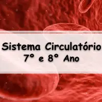 os melhores Exercícios sobre o Sistema Cardiovascular para o 8° Ano ensino fundamental com Gabarito