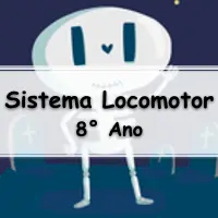 simulado com atividades e Exercícios sobre o Sistema Locomotor, Ossos e Esqueleto para o 6° Ano do ensino fundamental com Gabarito