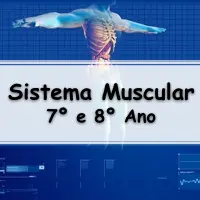 lista de Exercícios sobre o Sistema Muscular para o 8° Ano e 7° Ano do ensino fundamental com gabarito