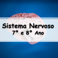 simulado com os melhores Exercícios sobre o Sistema Nervoso para o 8° Ano do fundamental com Gabarito