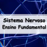 sistema nervoso ensino fundamental com gabarito