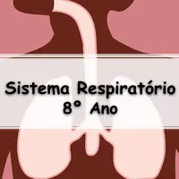 os melhores Exercícios sobre o Sistema Respiratório para o 8° Ano do ensino fundamental com gabarito