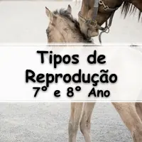 simulado com 10 Exercícios sobre os Tipos de Reprodução para o 8° Ano do ensino fundamental com Gabarito
