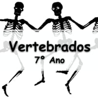 simulado com 10 Atividades sobre os Animais Vertebrados para o 7º Ano ensino fundamental com gabarito