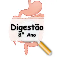 exercícios e Questões sobre Digestão para o 8° Ano do ensino fundamental com gabarito