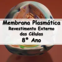simulado com Exercícios sobre Membrana Plasmática e Revestimento Externo das Células com Gabarito