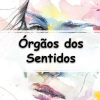 questões e Exercícios sobre o Sistema Sensorial e Órgãos dos Sentidos com Gabarito