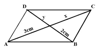 exercícios paralelograma 
