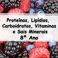 simulado com Exercícios sobre Proteínas, Lipídios, Carboidratos, Vitaminas e Sais Minerais para o 8° Ano do ensino fundamental com as respostas