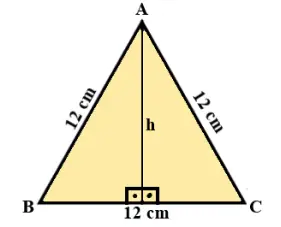 atividades sobre Teorema de Pitágoras no Quadrado, Retângulo, Triângulo e Trapézio para o 9 ano com gabarito