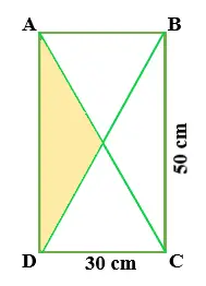 exercícios sobre Área do Quadrado e do Retângulo com as respostas