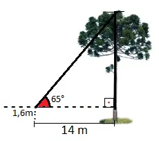 árvore e razões trigonométricas 