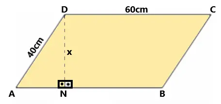 paralelograma e sua área e medidas