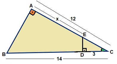 atividades e exercícios sobre semelhança de Triângulos para o 9 ano do fundamental com gabarito