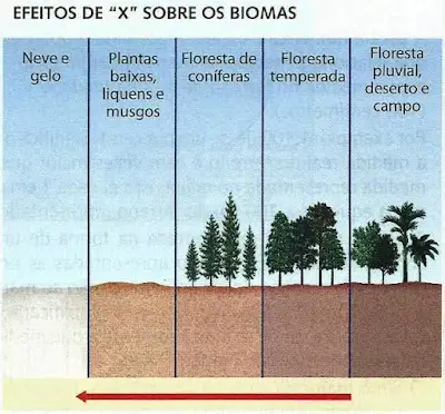 Imagem bioma latitude no Brasil