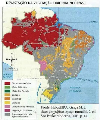 mapa devastação do Brasil exercícios