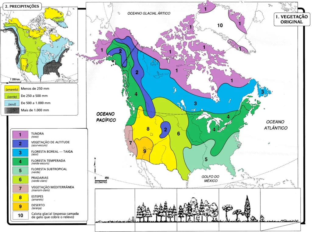 gabarito do mapa para colorir sobre a america anglo saxonica