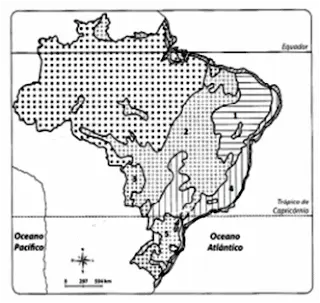mapa dos biomas do Brasil 