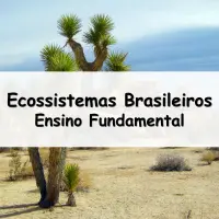 questões e Exercícios sobre os Ecossistemas Brasileiros para o Ensino Fundamental respondidos