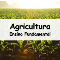 atividades e Exercícios de Geografia sobre Agricultura para o Ensino Fundamental com as respostas