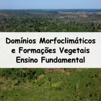 simulado com Exercícios sobre os Domínios Morfoclimáticos e Formações Vegetais para o Ensino Fundamental com as respostas