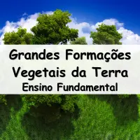 Exercícios sobre as Grandes Formações Vegetais da Terra para o Ensino Fundamental com as respostas