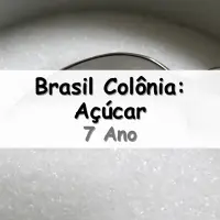 questões e Exercícios sobre o Brasil Colônia e a Economia do Açúcar para o 7° Ano do Ensino Fundamental com as respostas