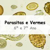 questões e Exercícios sobre Parasitas e Vermes para o 6º e 7º ano do Ensino Fundamental com as respostas