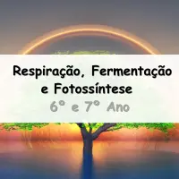Exercícios sobre Respiração, Fermentação e Fotossíntese para o 6º e 7º Ano com as respostas