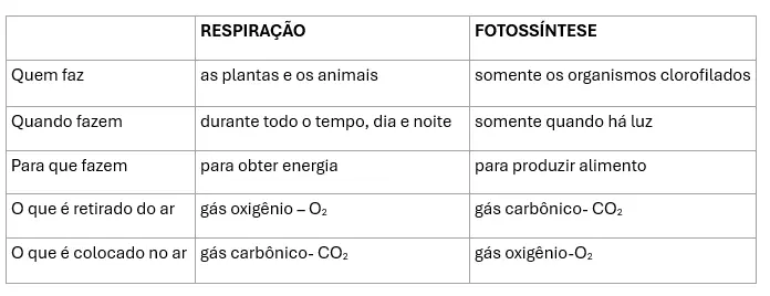 tabela comparando respiração e fotossíntese