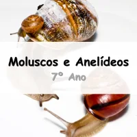 atividades e Exercícios sobre Moluscos e Anelídeos para o 7º Ano do Ensino Fundamental com gabarito