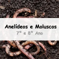 simulado com exercícios e Atividades sobre Anelídeos e Moluscos para o 7º Ano e 8º Ano do Ensino Fundamental com as respostas